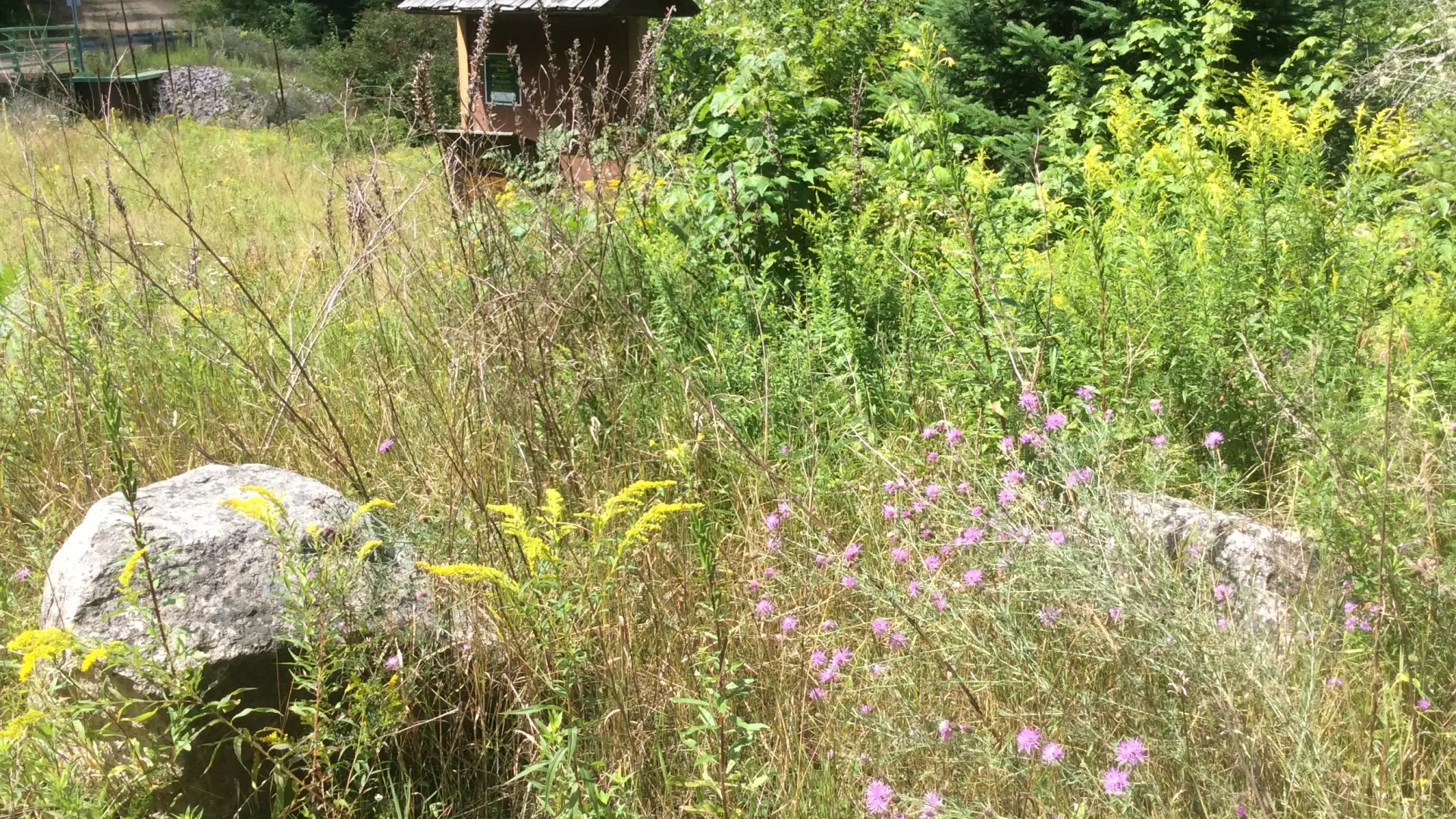 The trailhead for Quebec Brook.