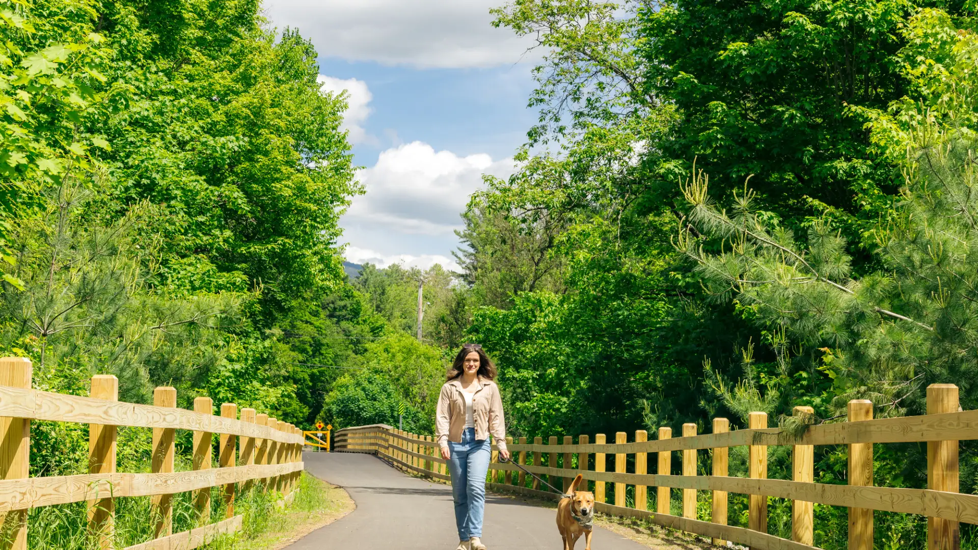 A woman walks her dogs on a rail trail
