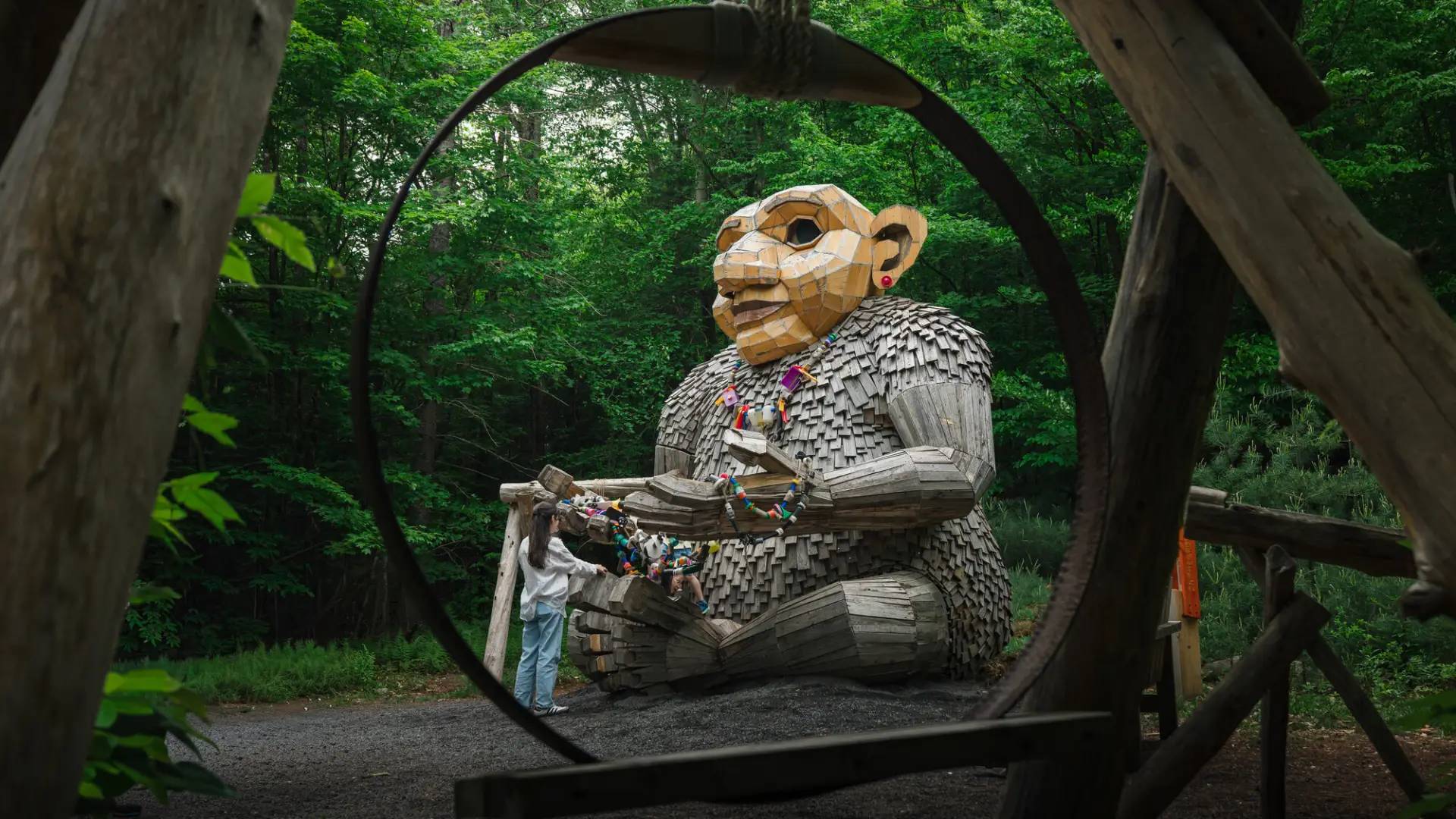Wild Center Trolls