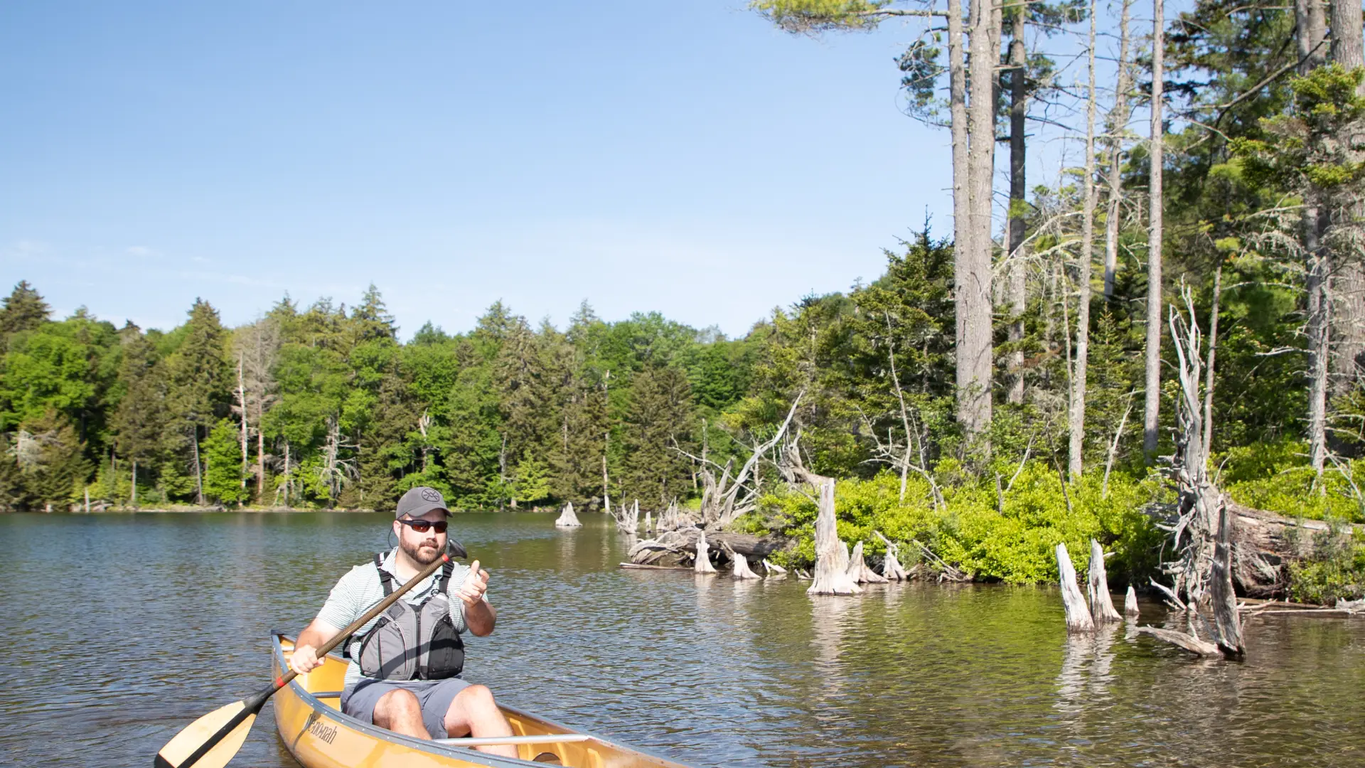 Pond hop to your heart's content in the St. Regis Wilderness Canoe Area.