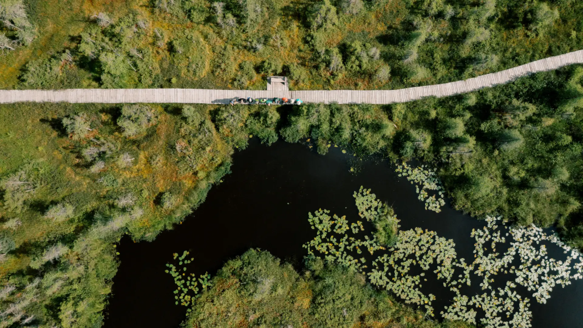 drone shot of boardwalk at VIC with bikers
