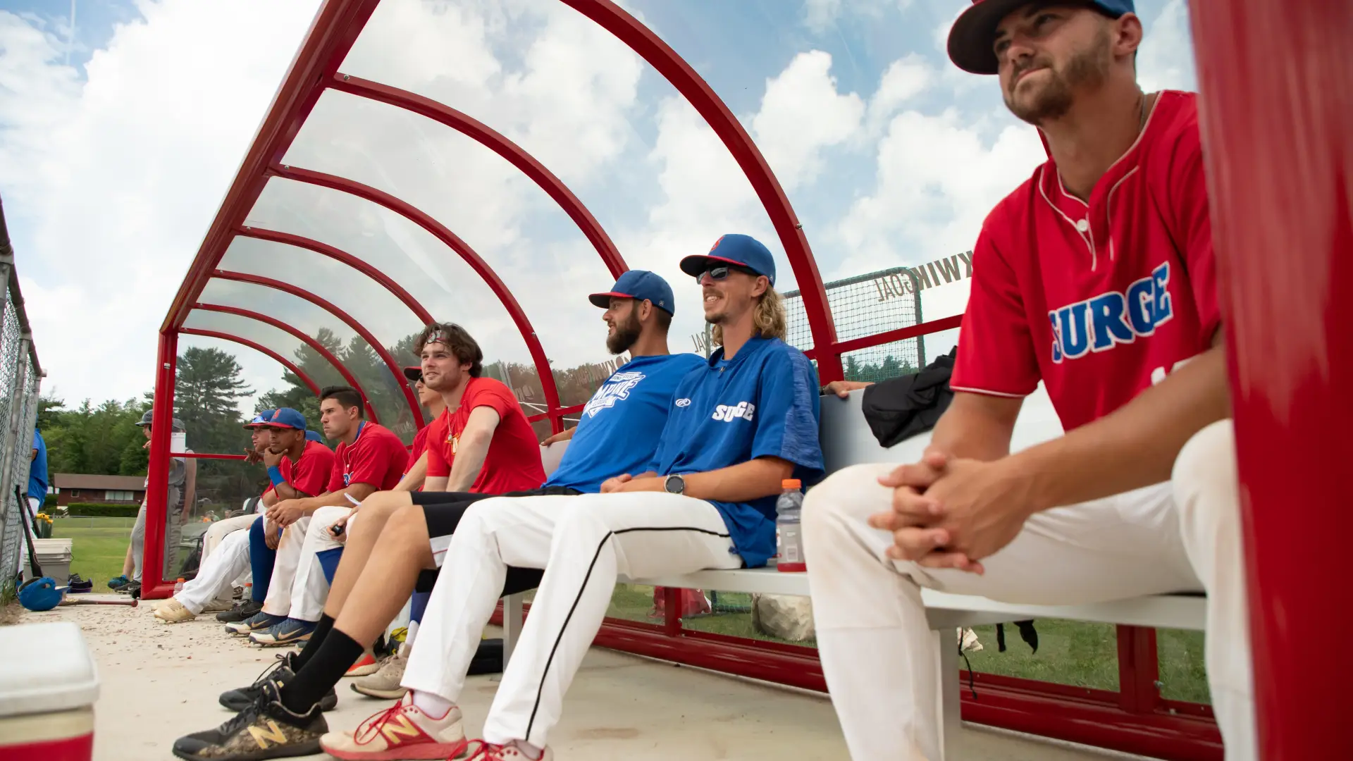 Players in the duggout 