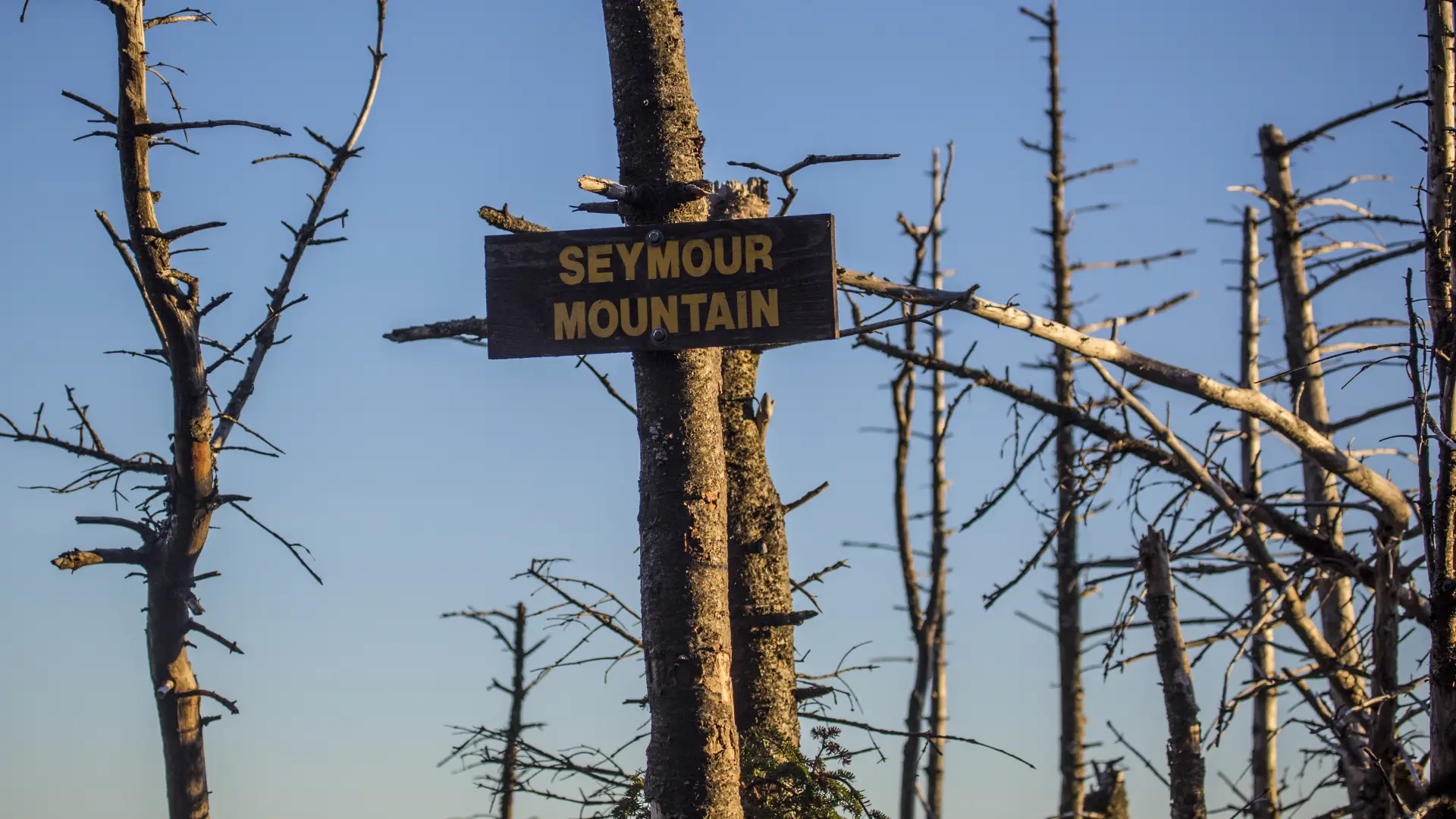 The summit sign on Seymour
