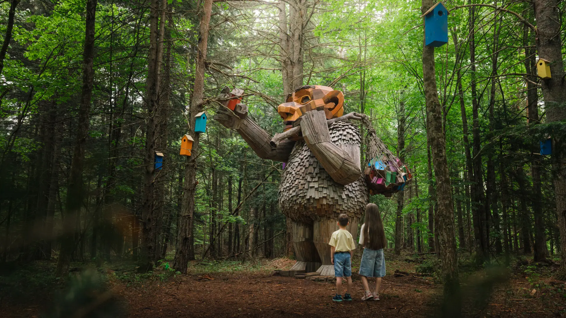 Discover the Trolls