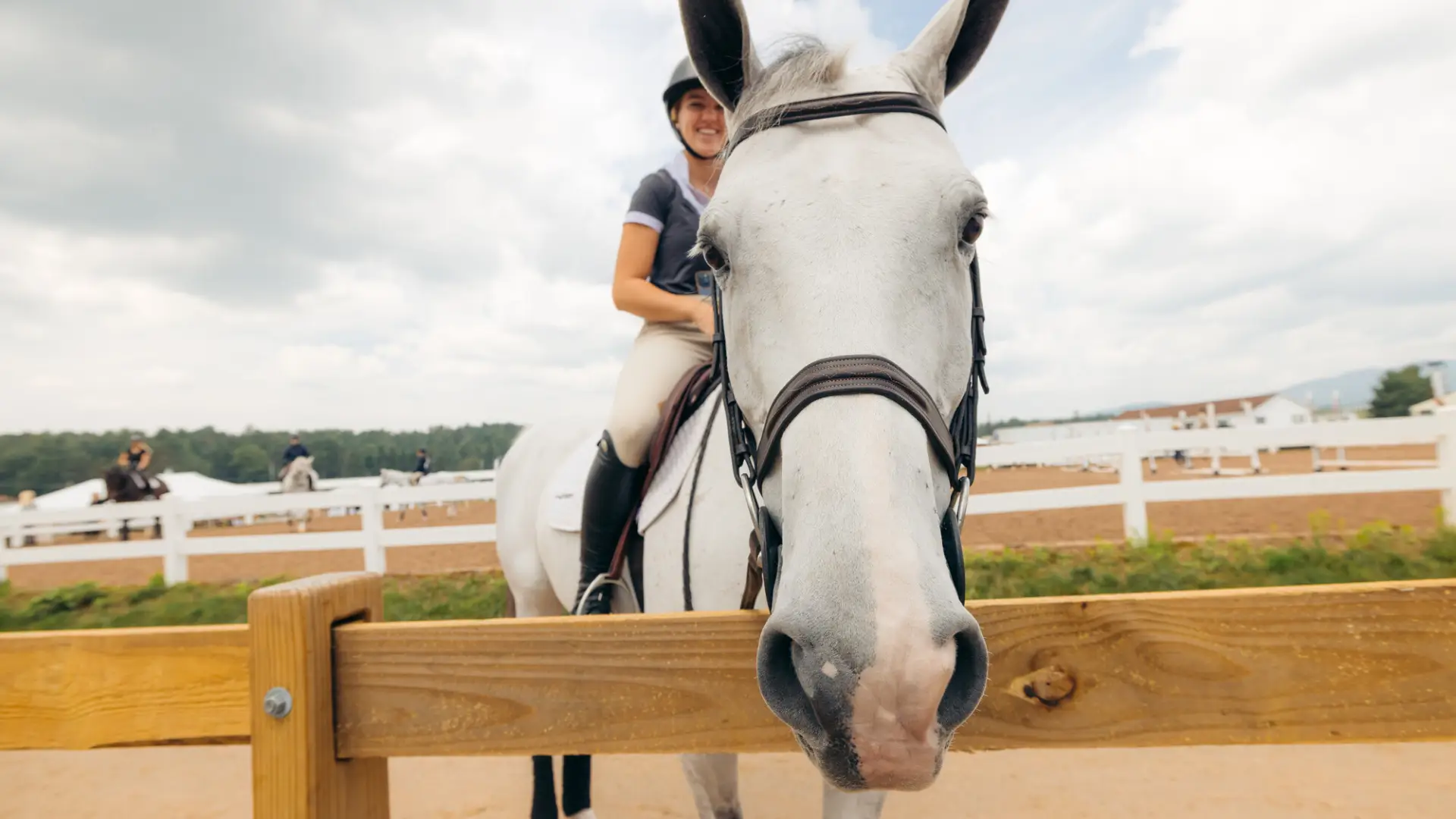 A straight on view of a silly white horse and a smiling rider