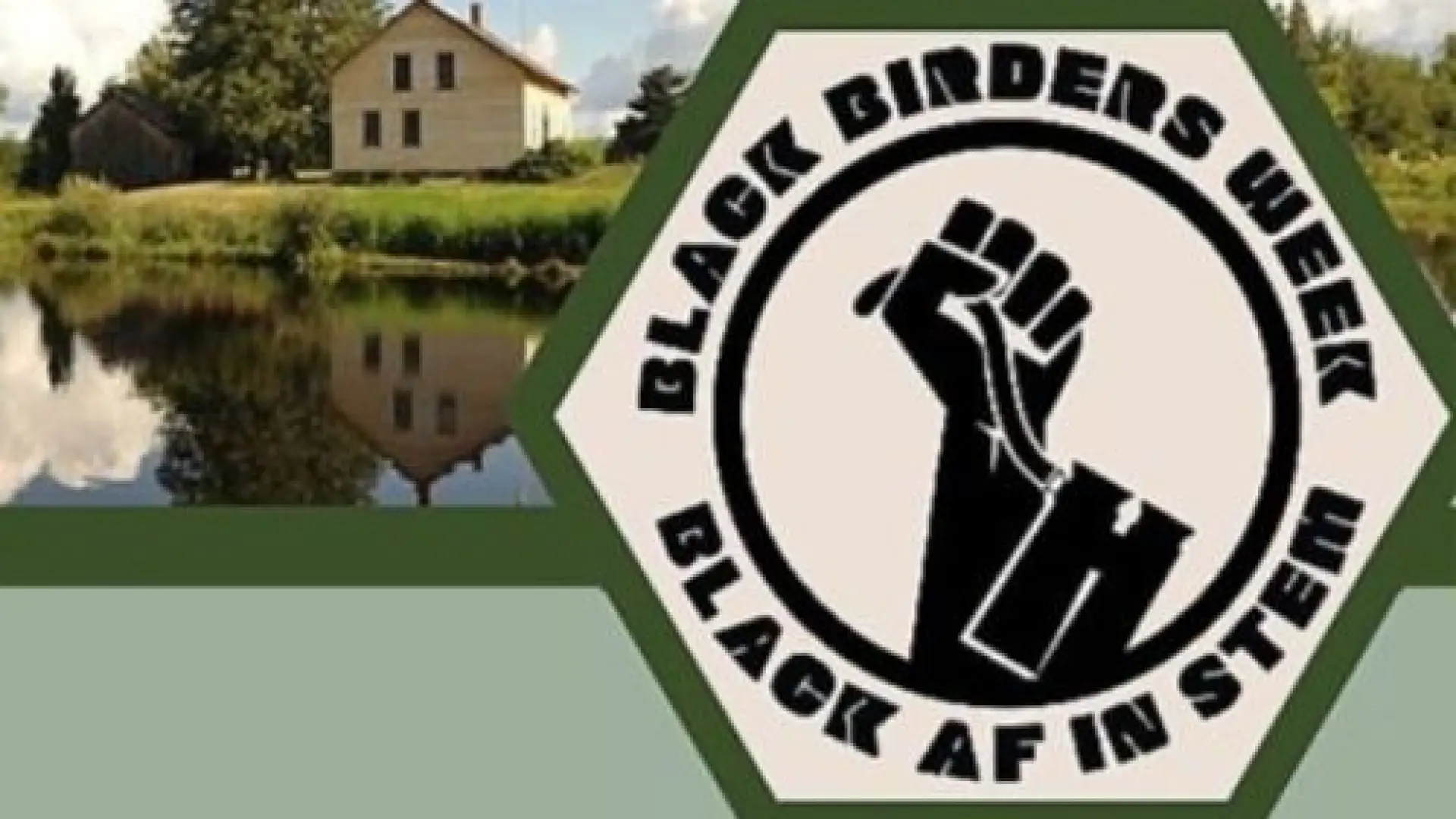black birders week
