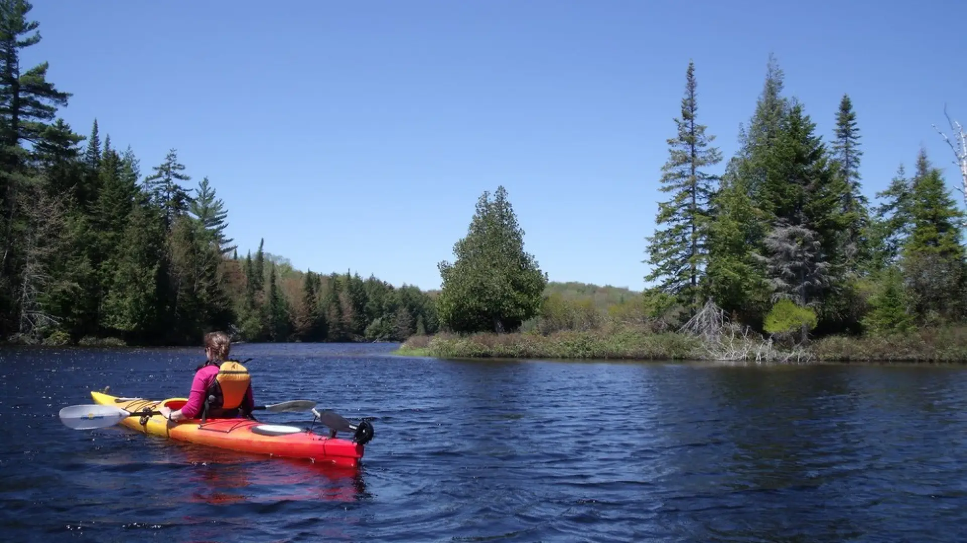 A kayaker nears the shore