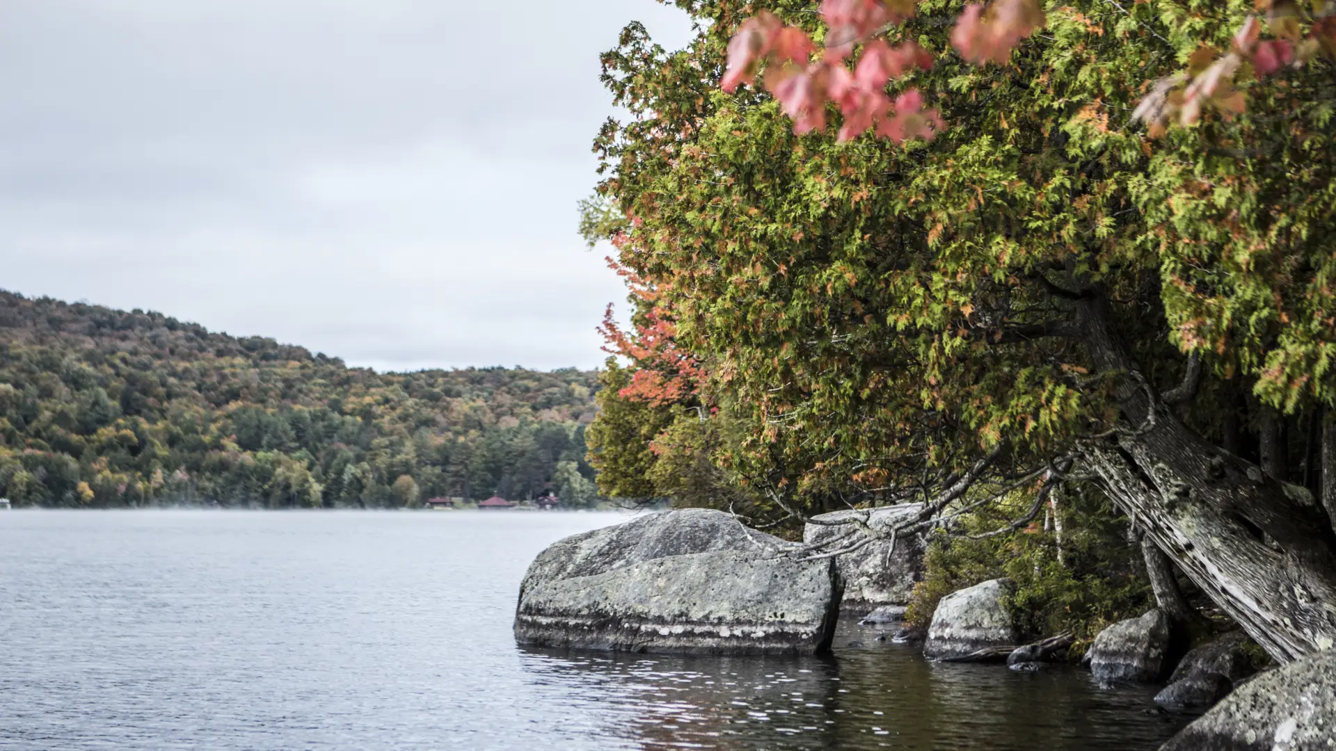 Shoreline trees start to show vibrant fall colors. 