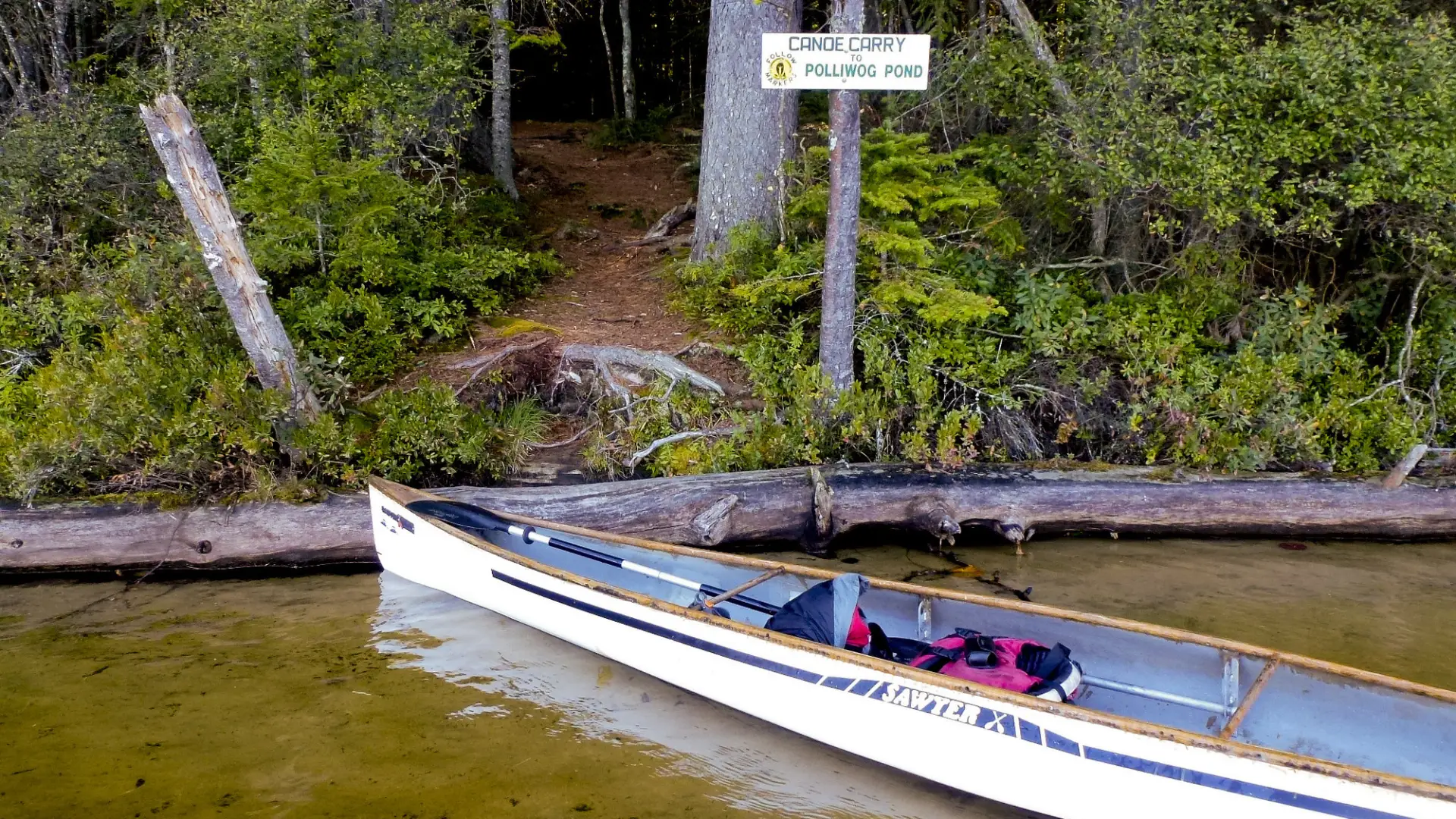 Canoe floats in the water with gear near the shore. Polliwog sign in the background attached to a tree.
