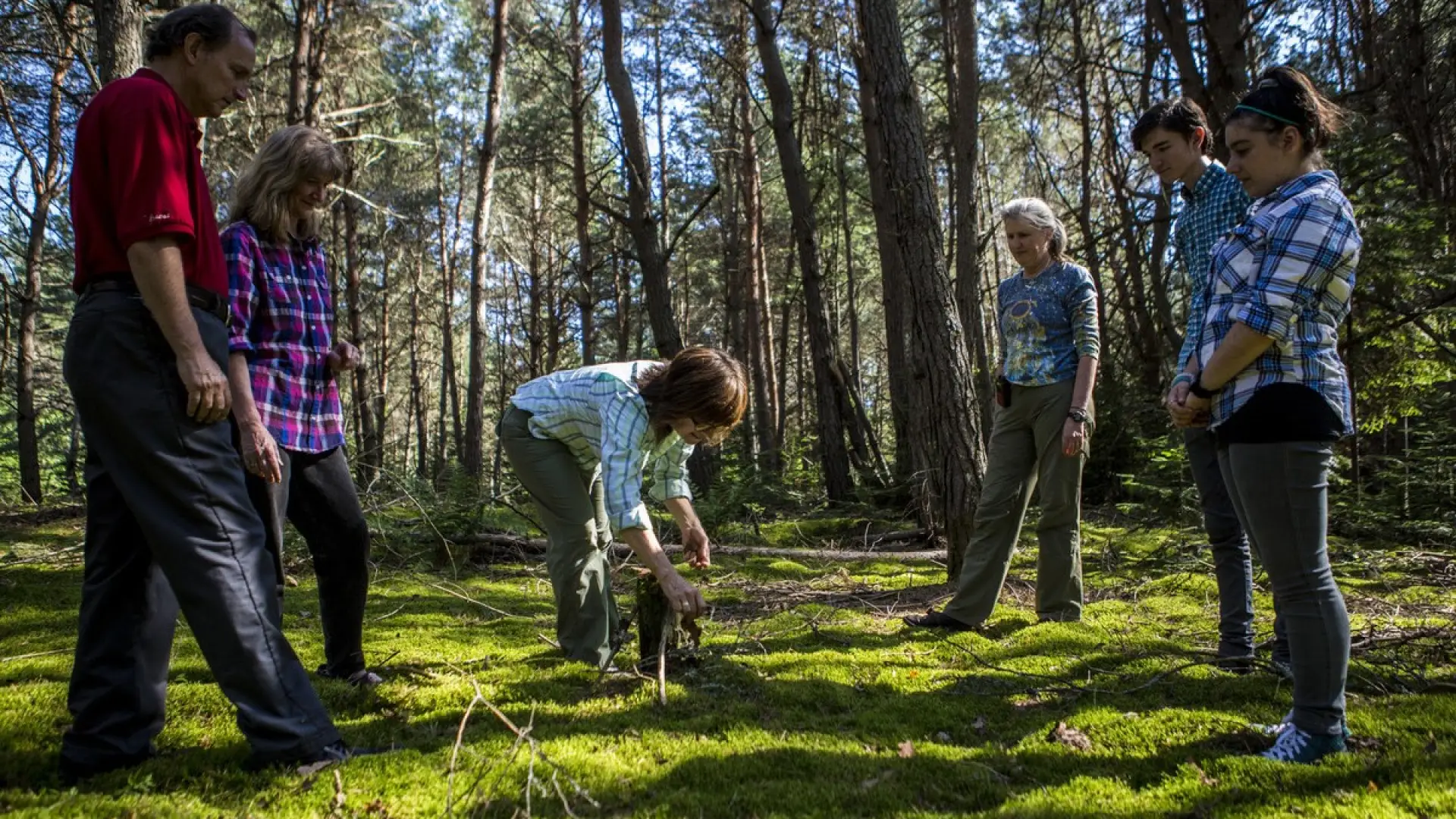 Your guide brings your attention to the moss carpet padding the ground beneath your feet.