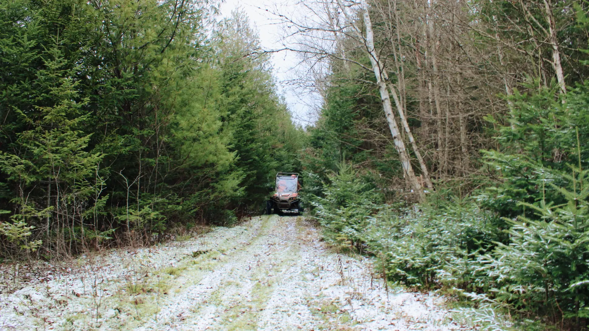 A side by side navigates a narrow patch of path between pine trees over freshly fallen early season snow 