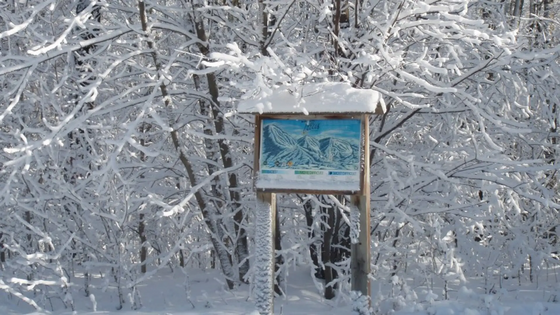 A trail sign on the trails at Titus Mountain.