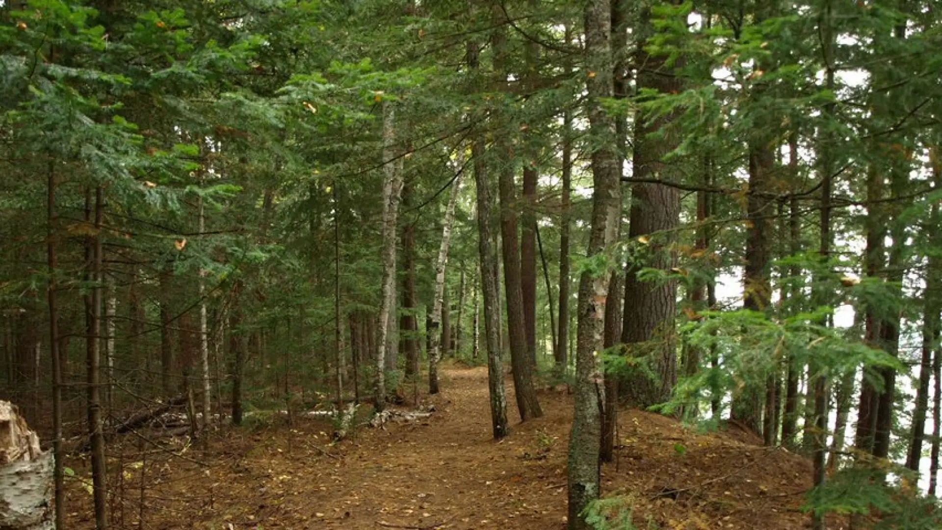 These paths can be hiked or used for trail running.