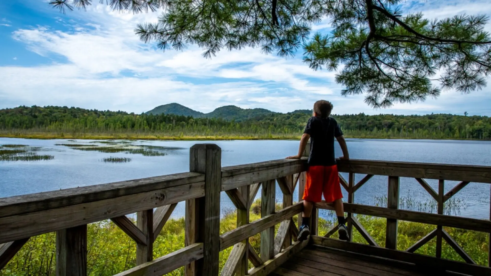 boy looking at water from an overlook at the VIC