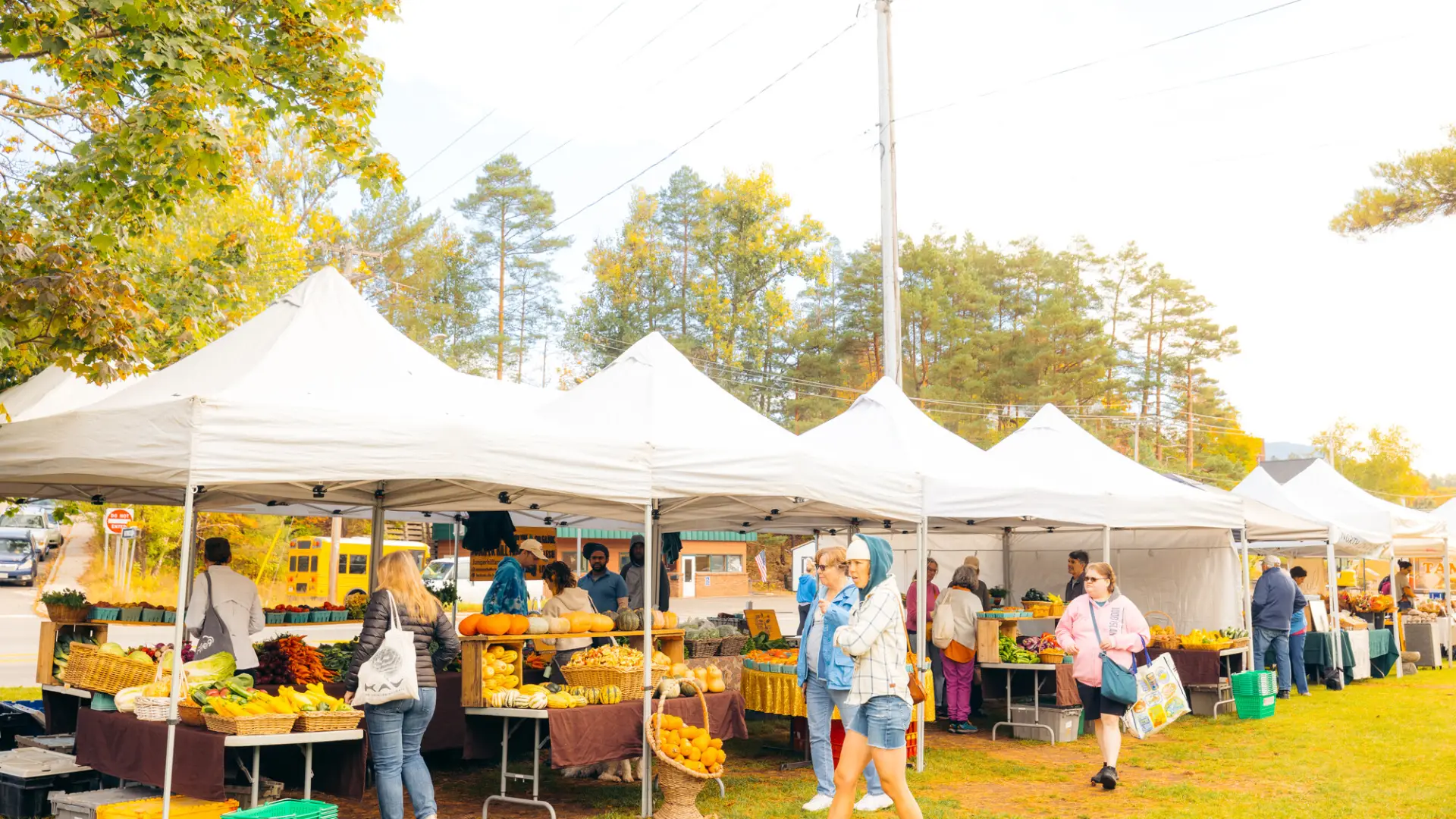 A farmers market on a fall day. 