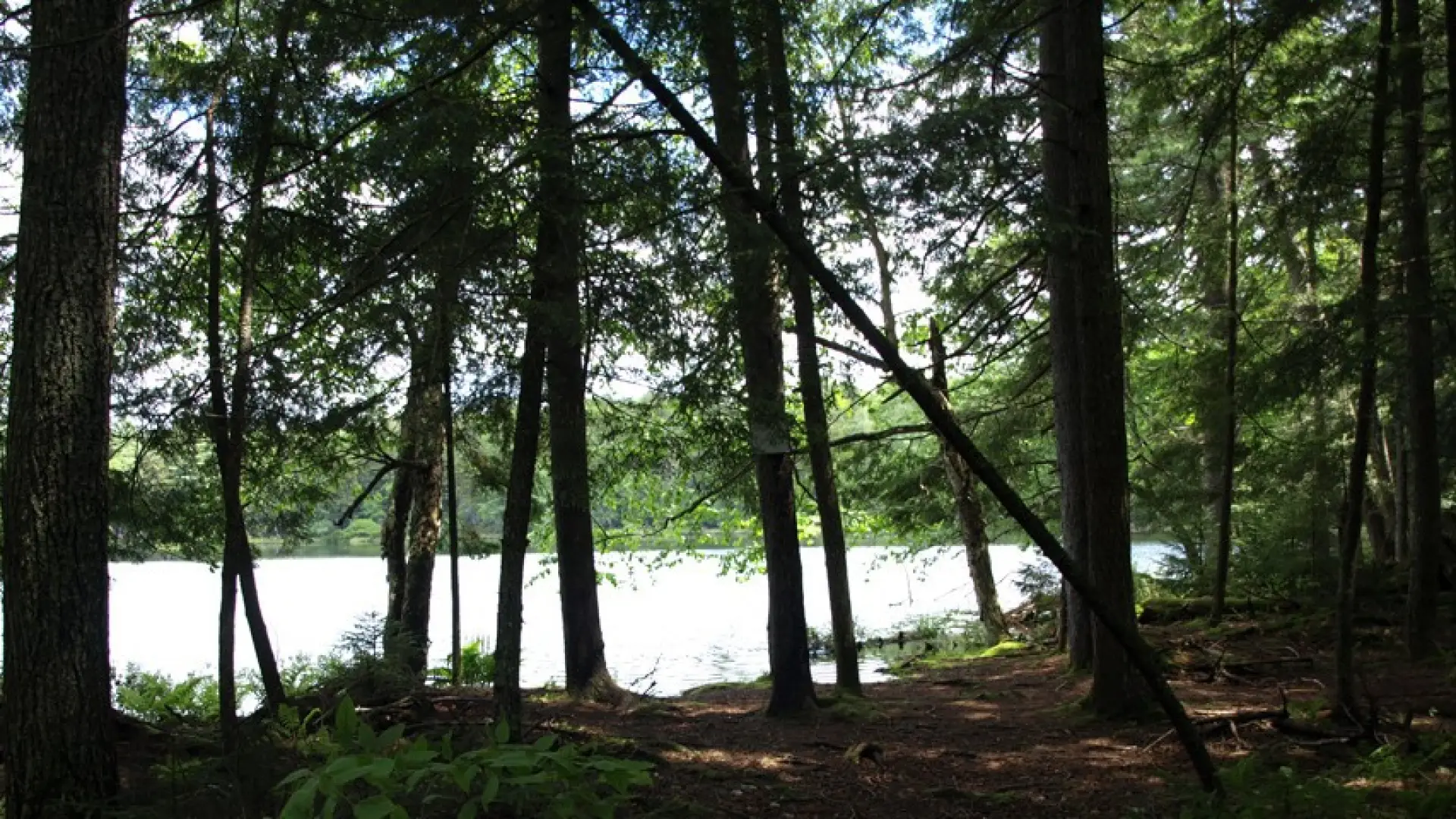 Round Pond from shore