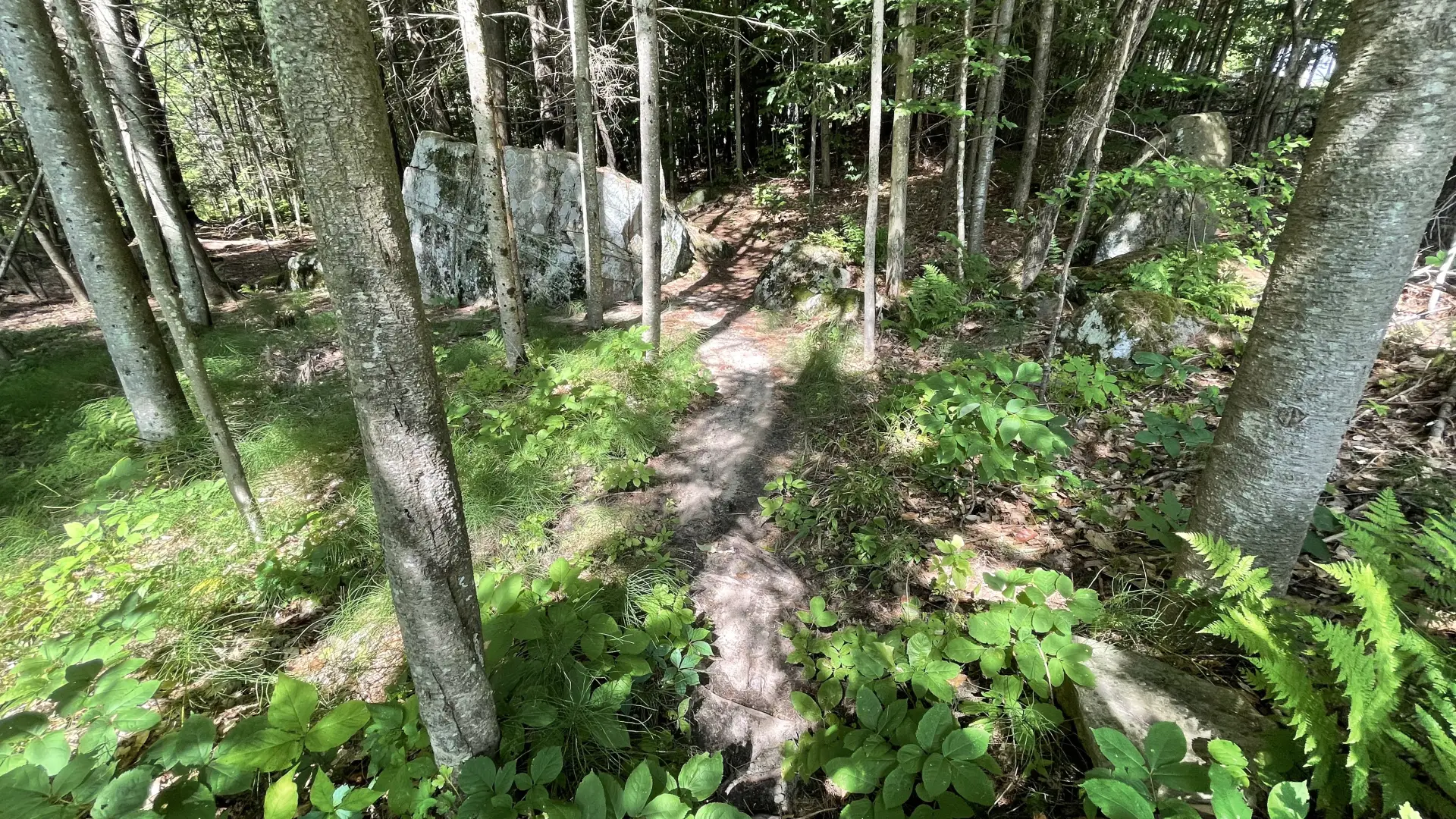 sunset park trail