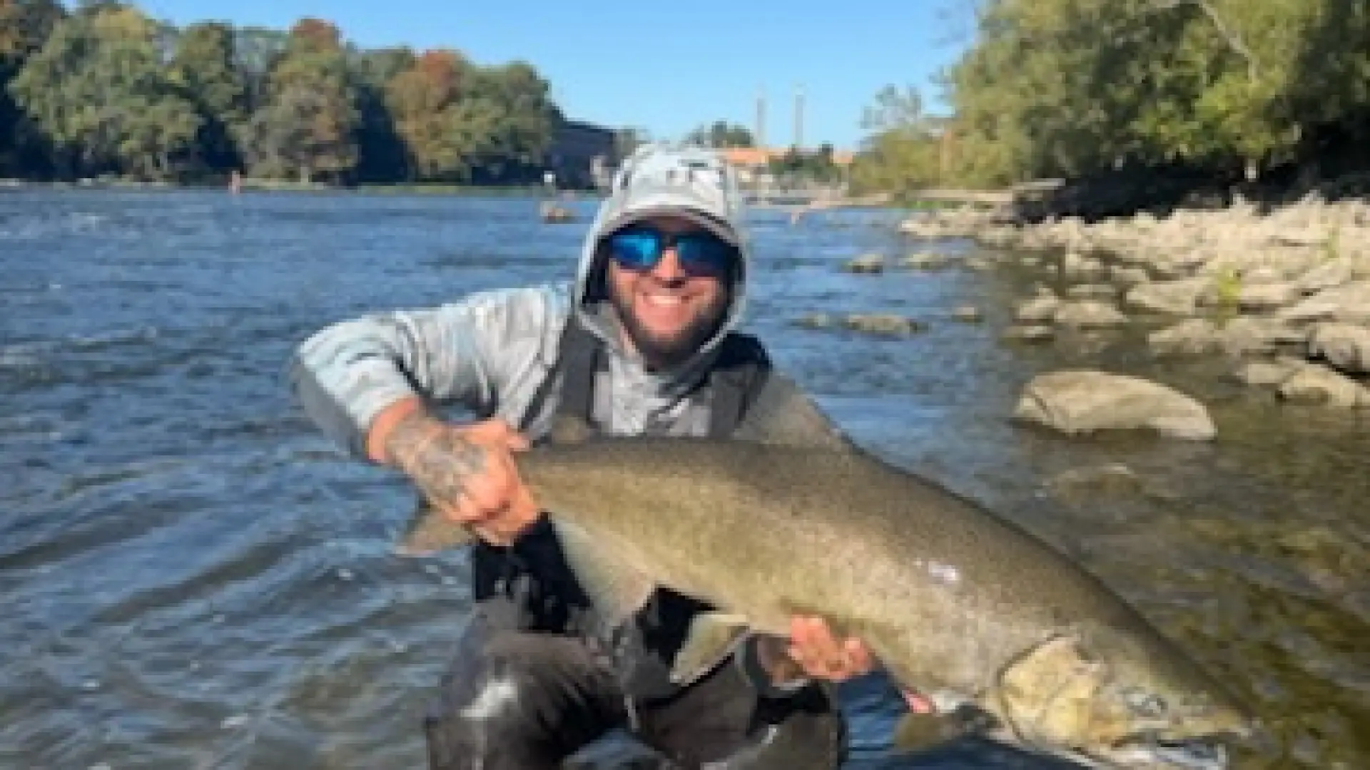 A man in waders holds a huge salmon.