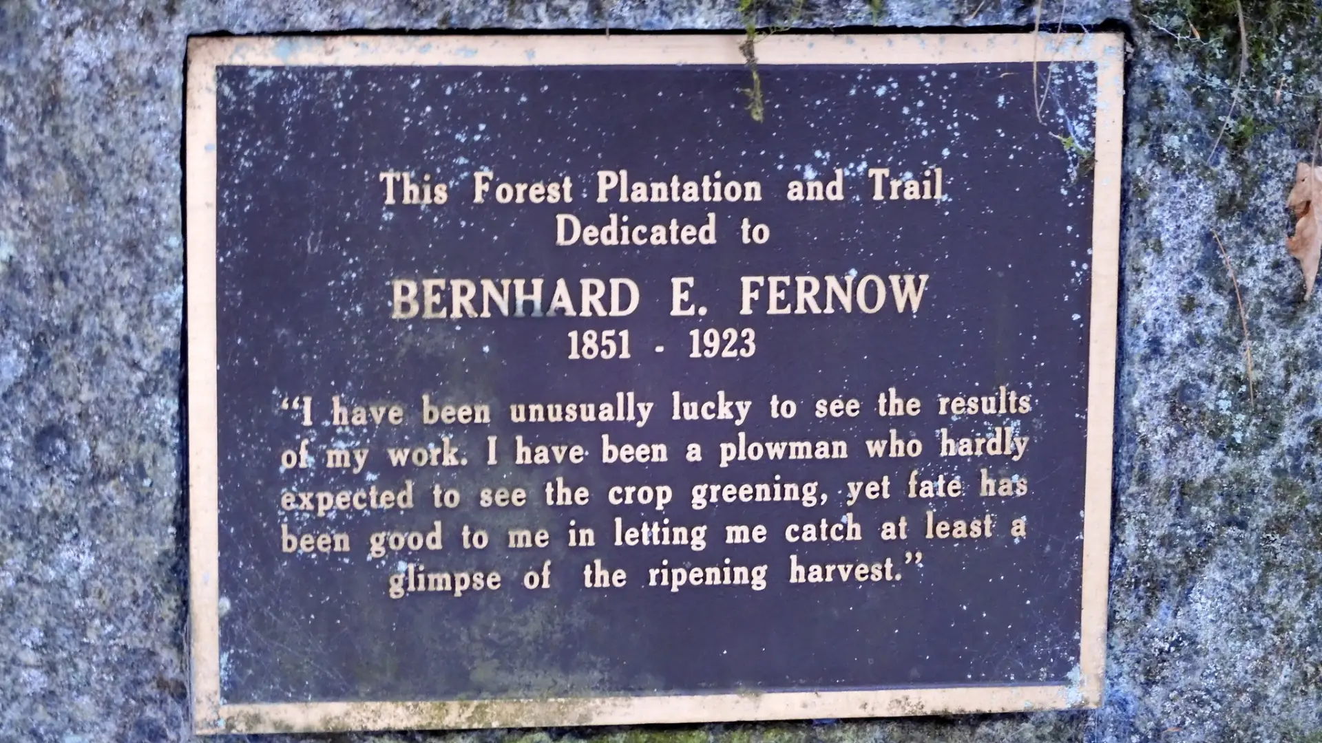 A metal plaque on a rock for B. Fernow.