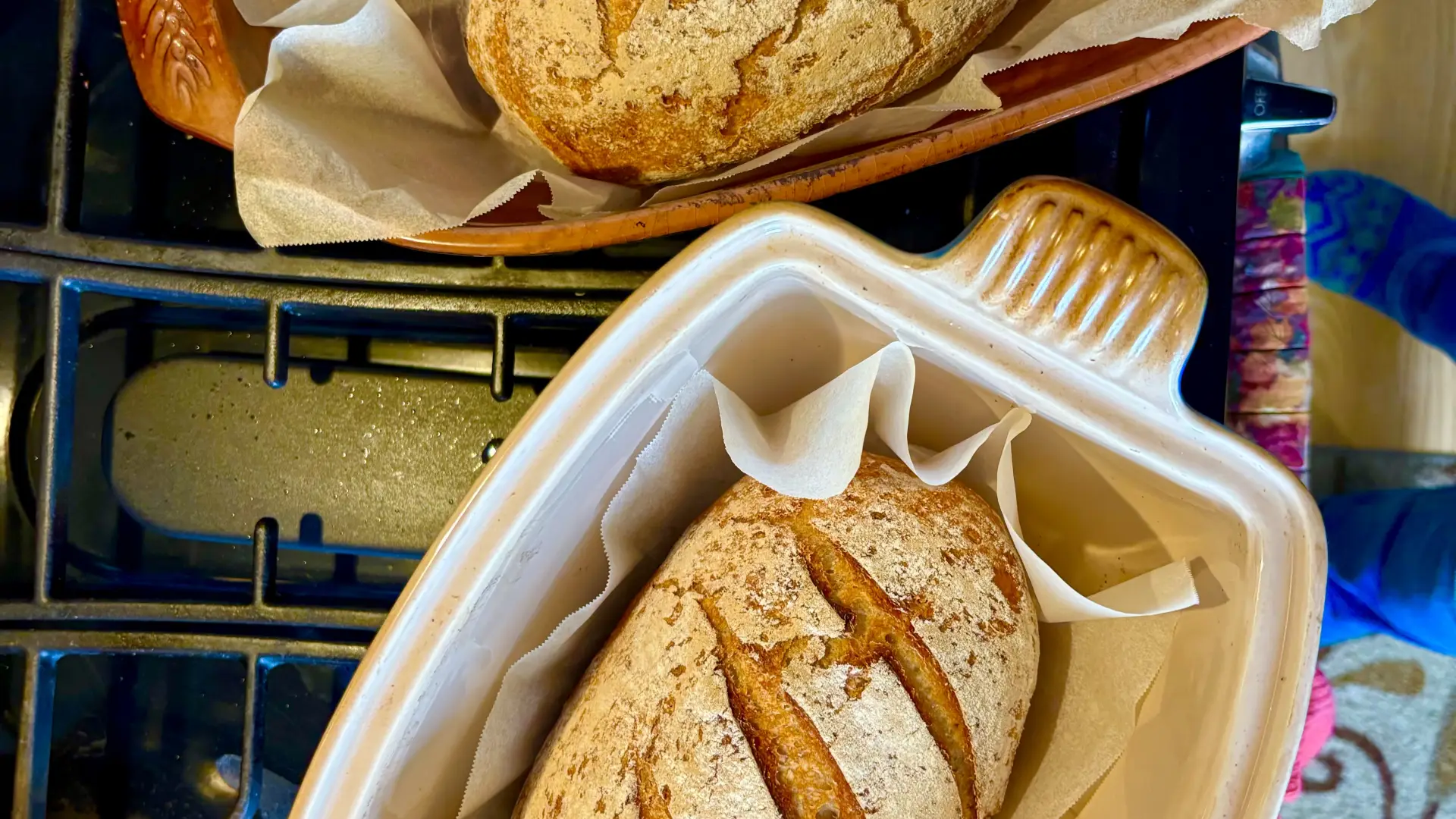 Fresh baked loaves of bread