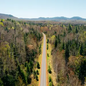 rail trail spring 