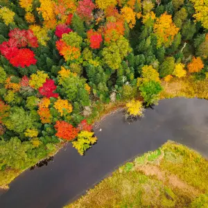 An aerial view of the Saranac River in the fall.