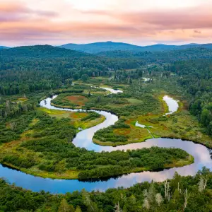 Saranac Lake River in the summer.