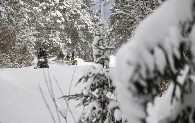Snowmobiling through snowy woods.