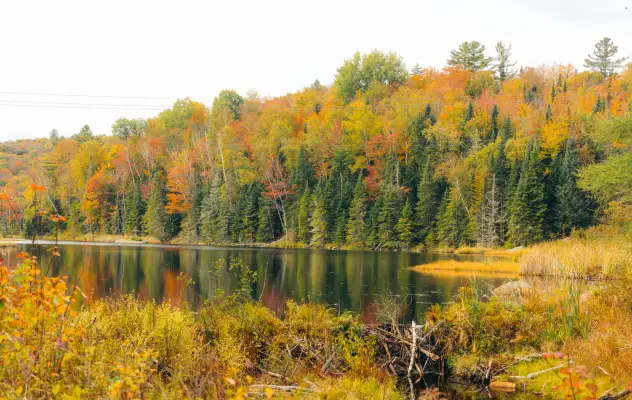 Fall views in Saranac Lake.