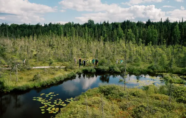 A group of people stand in the middle of a trail alongside marshland.