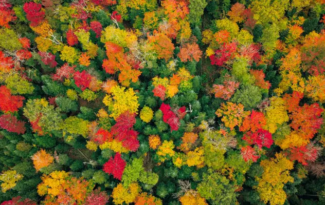 Fall foliage views.