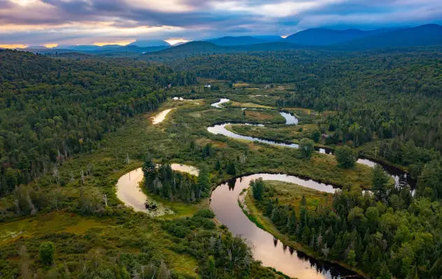The Saranac River in the summer.
