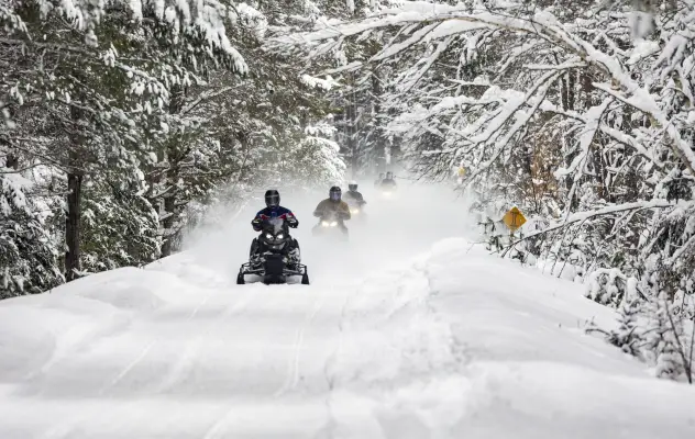A group of snowmobilers ride on a winter trail.