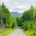 Rail Trail in the summer.