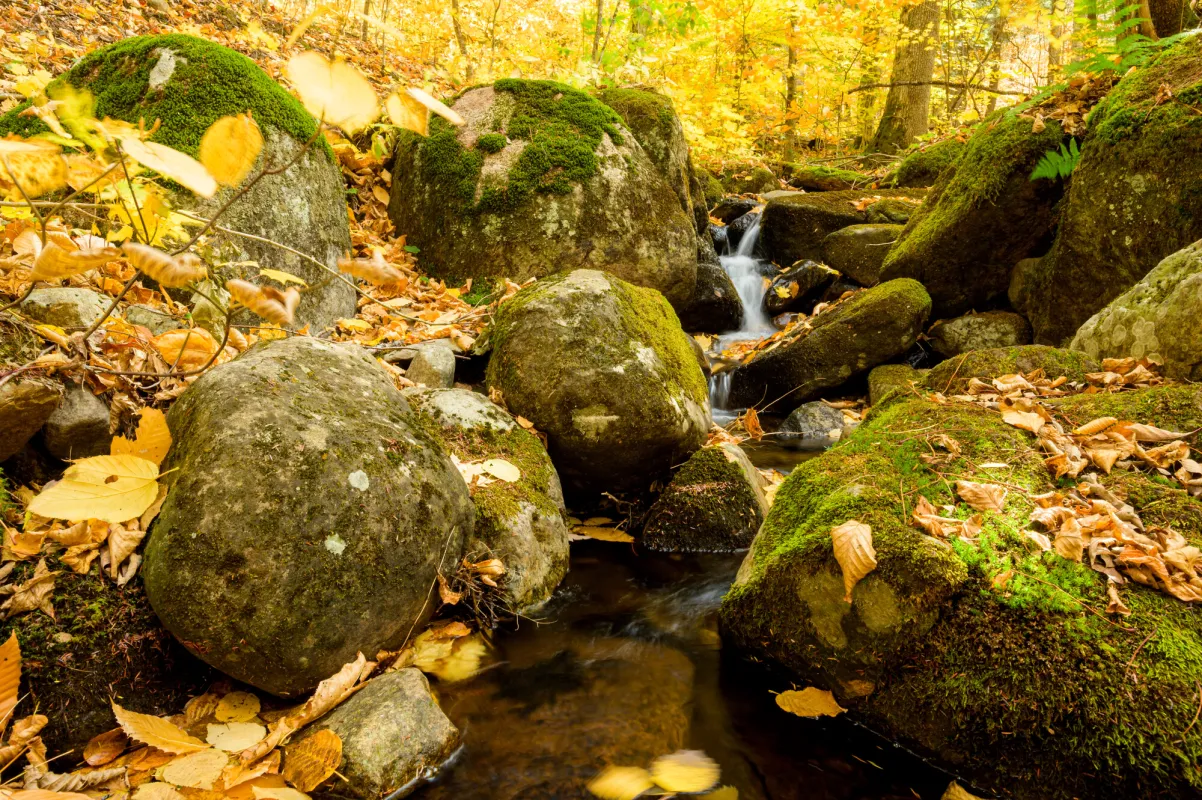 A fall waterfall hike.