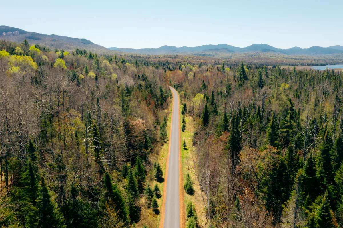 Adirondack Rail Trail in the spring.