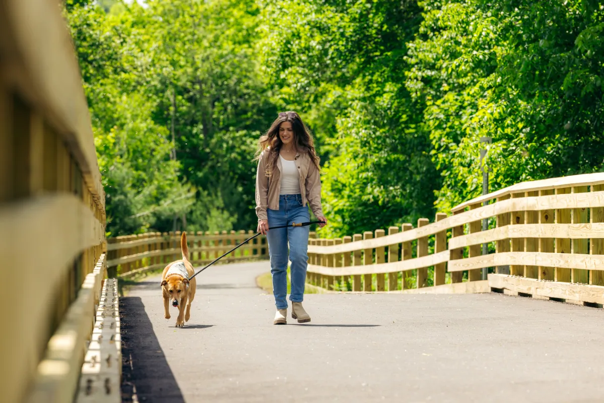 Walking a dog on the Adirondack Rail Trail.