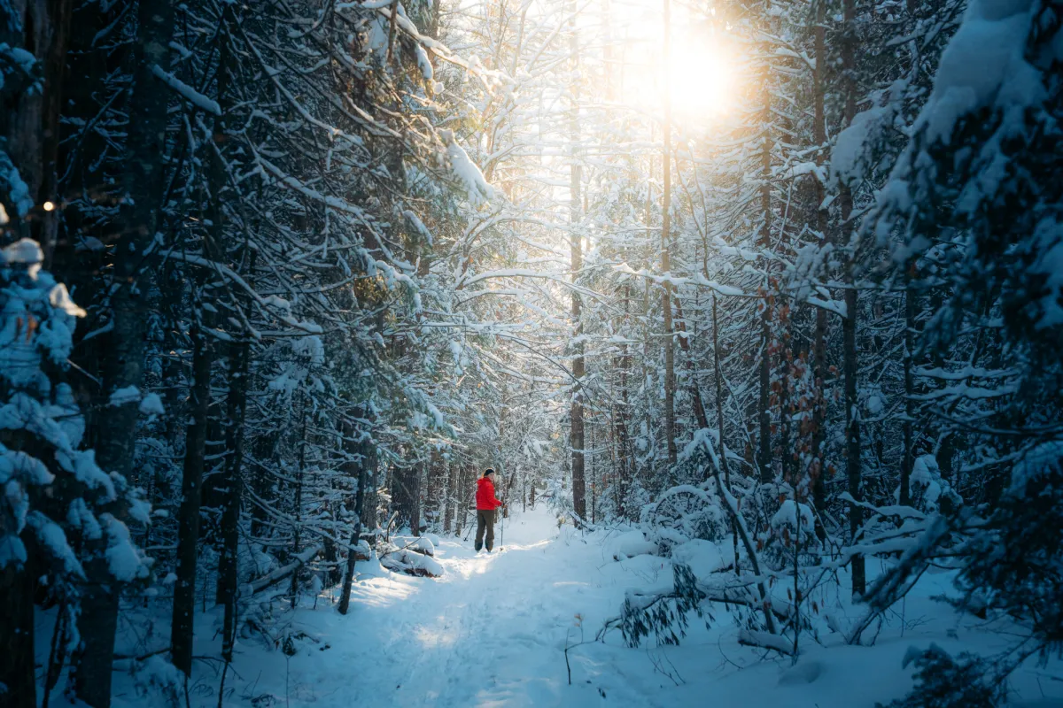 Cross-country skiing in Saranac Lake.