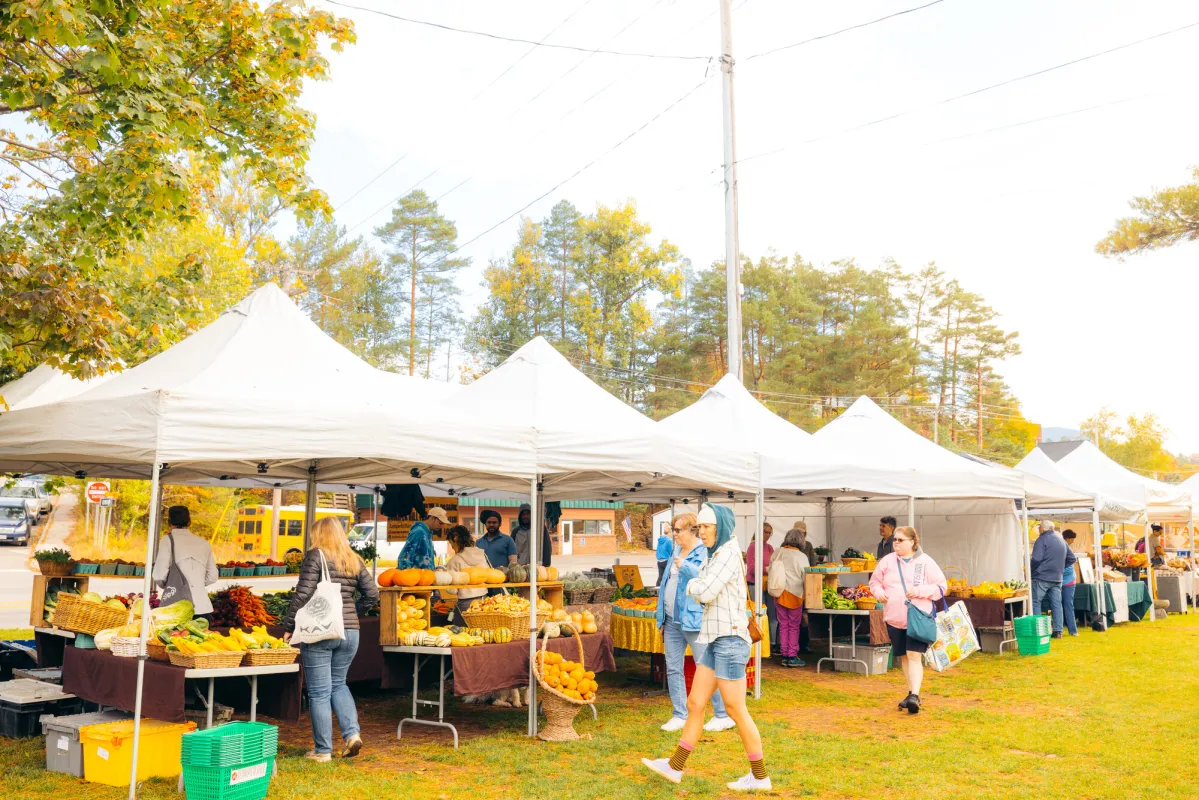 People walk around a row of stalls at a farmers market. 