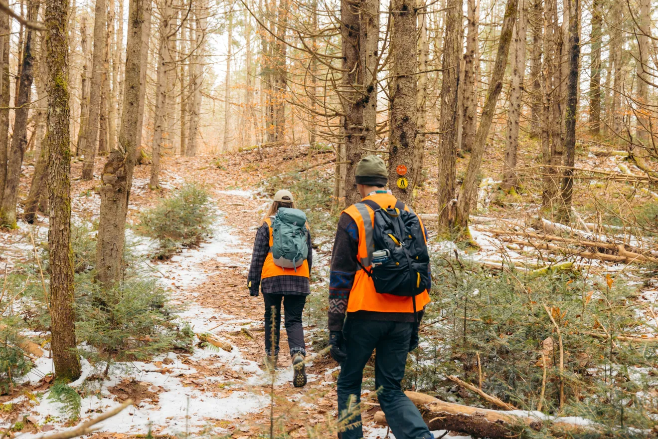Two people in blaze orange vests 