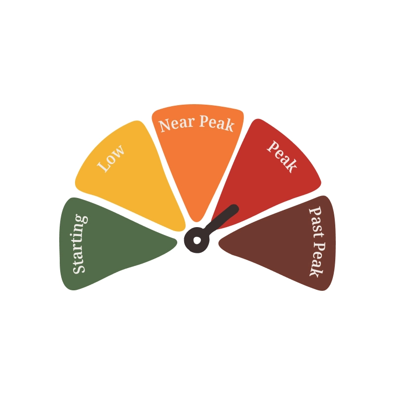 Fall foliage gauge is set to peak.