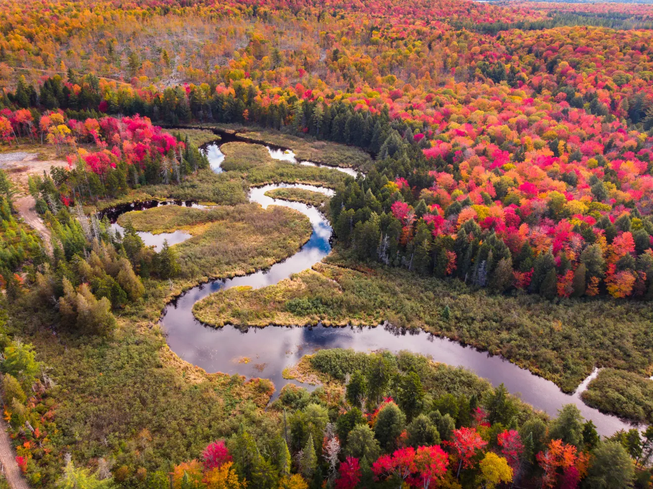 Fall foliage views in Saranac Lake.