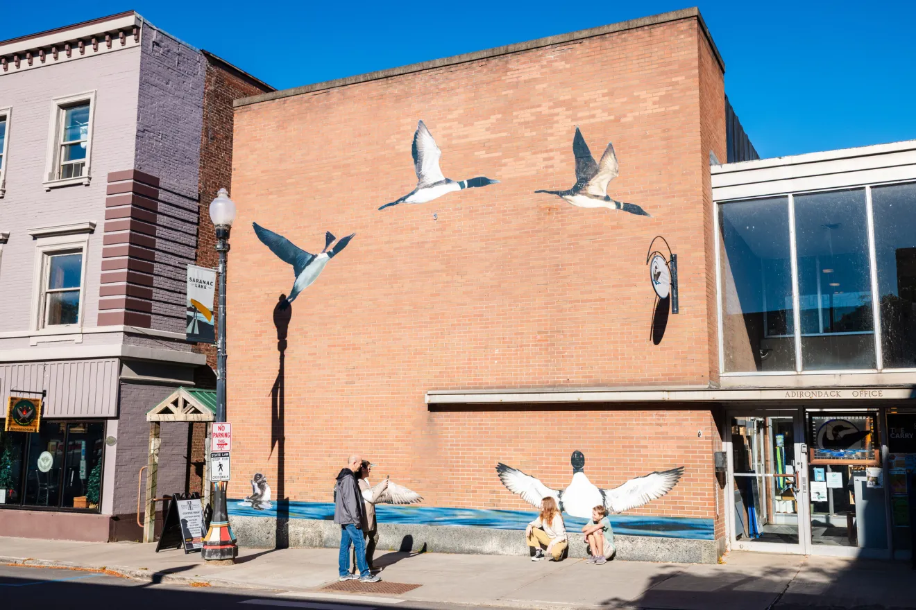 Loon mural in Saranac Lake.