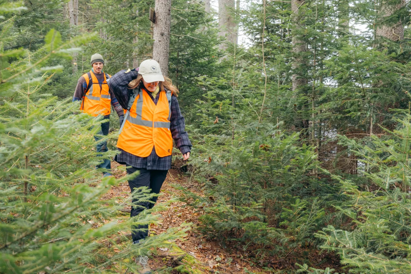 A man and woman in orange jackets walk a nature trail.