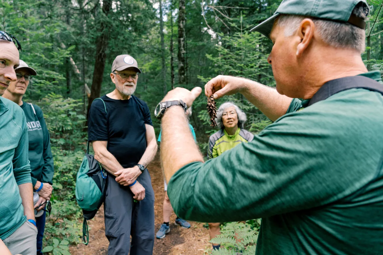 A man shows a pinecone to a group of hikers. 