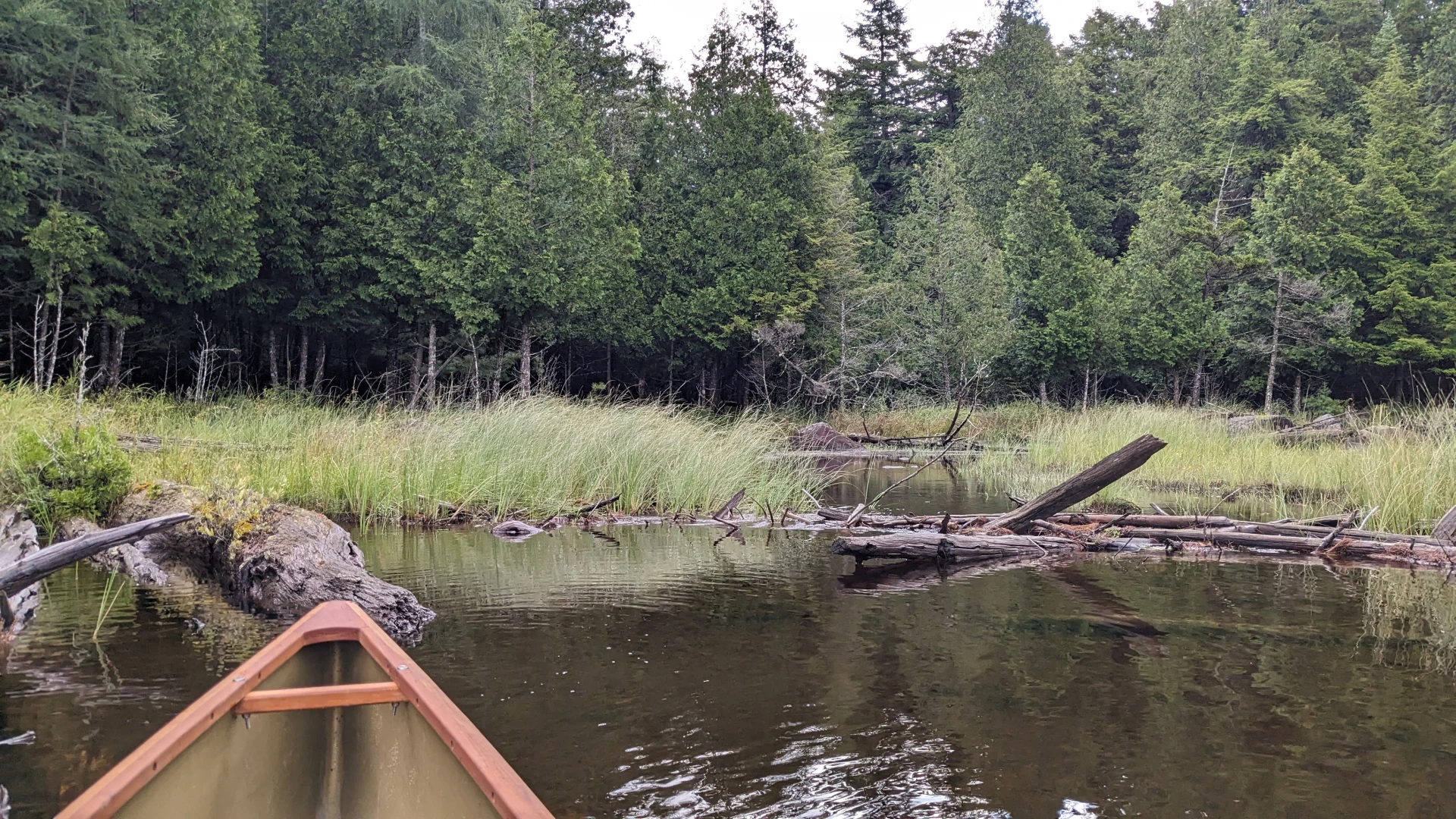 The nose of a canoe in the water