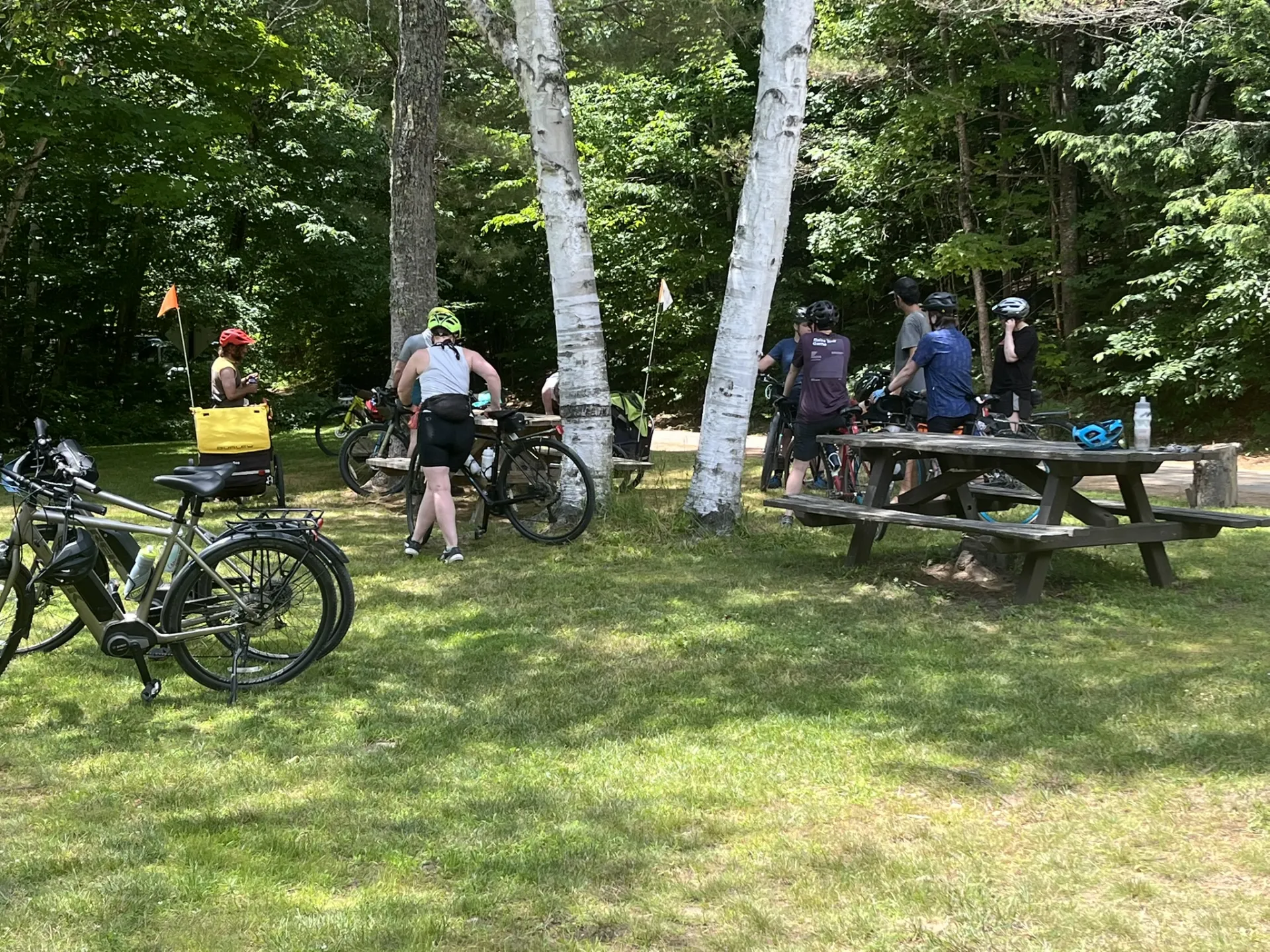 People with bikes at a park