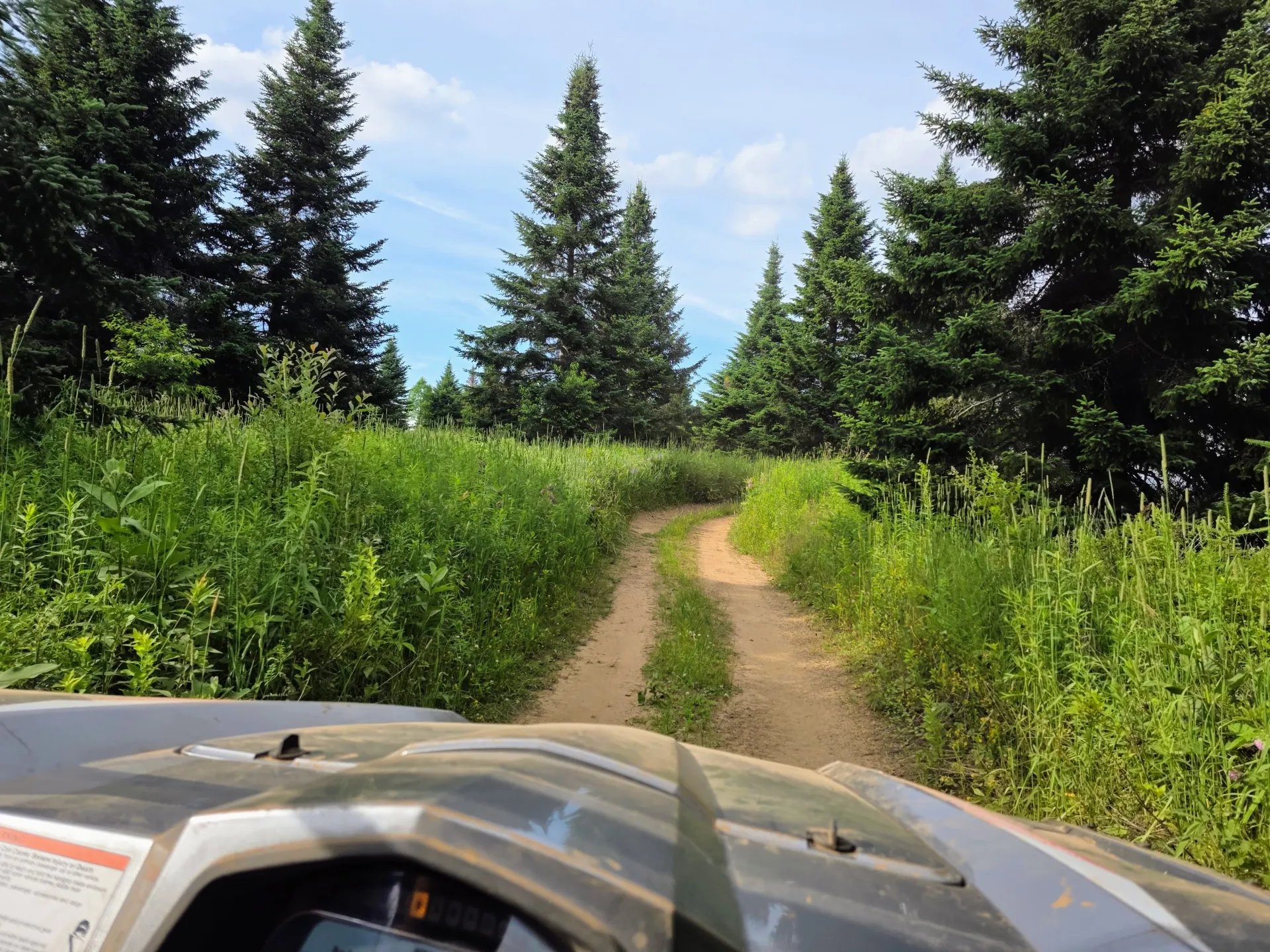 The views from inside a UTV.