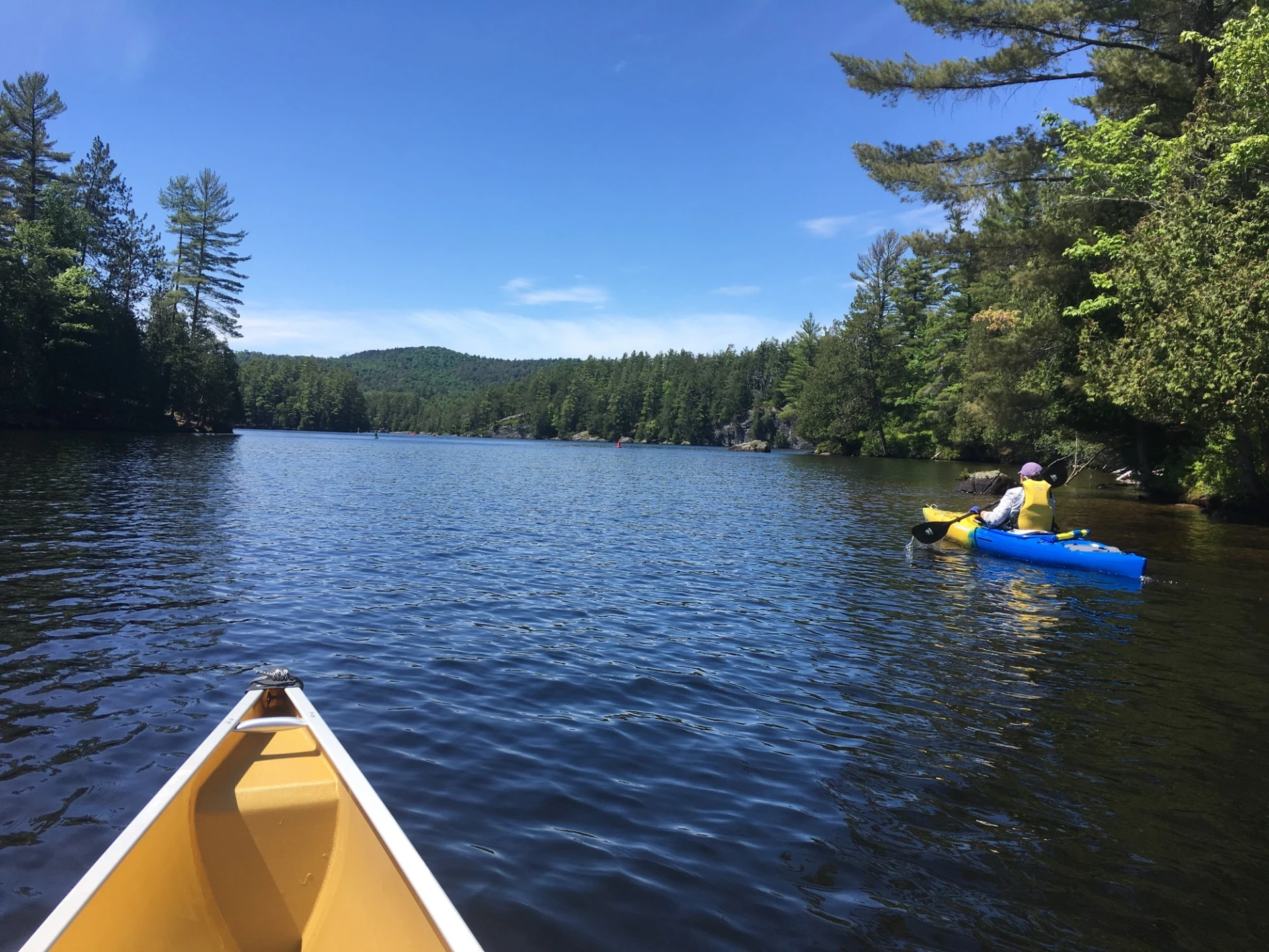 A canoe and kayak on a lake surrounded with green trees