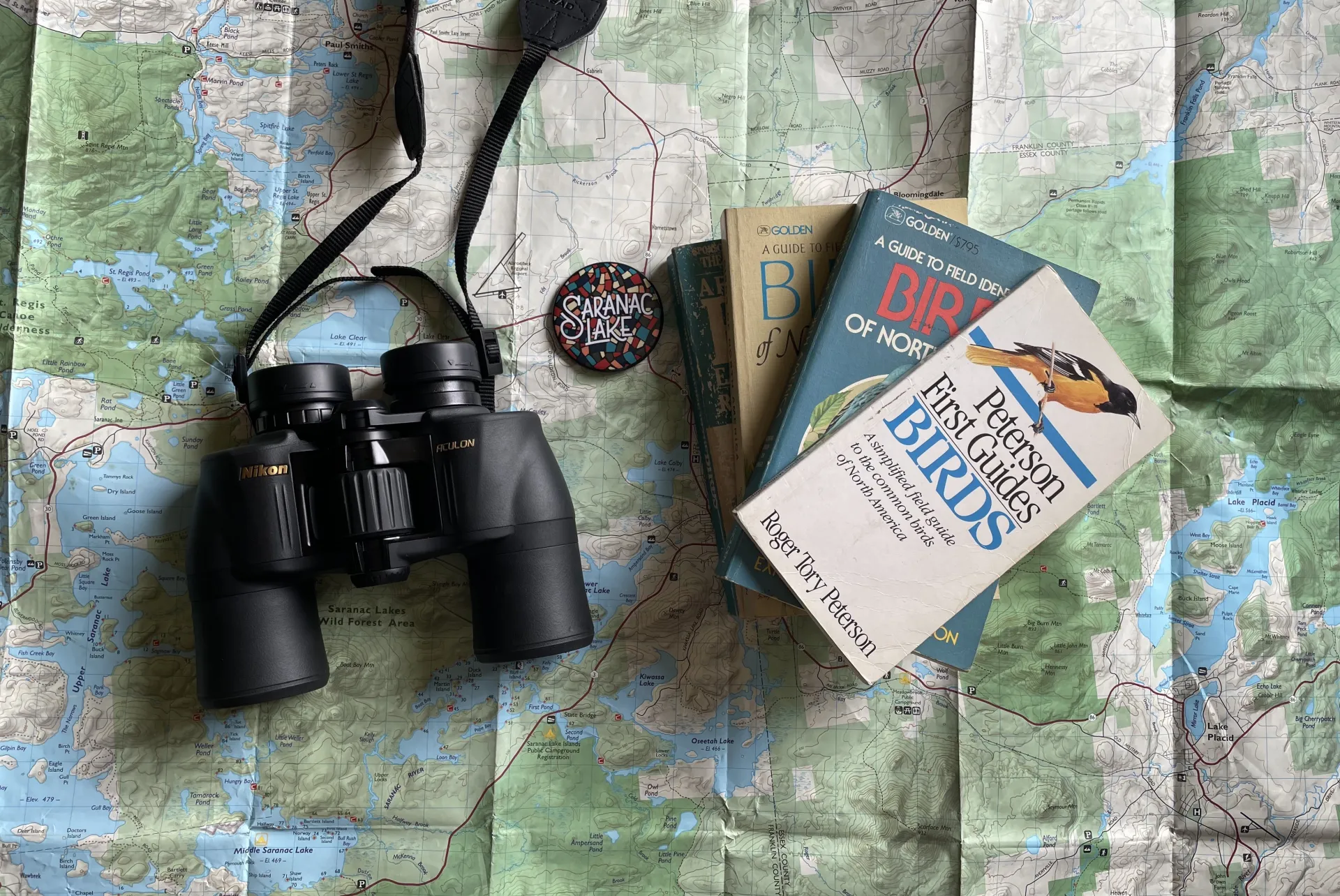 Birding in Saranac Lake.